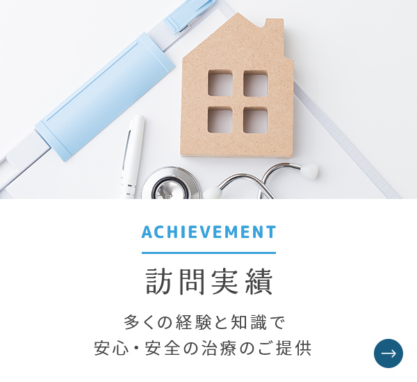 訪問実績